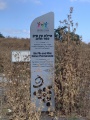 תמונה ממוזערת לגרסה מתאריך 06:18, 22 במאי 2021