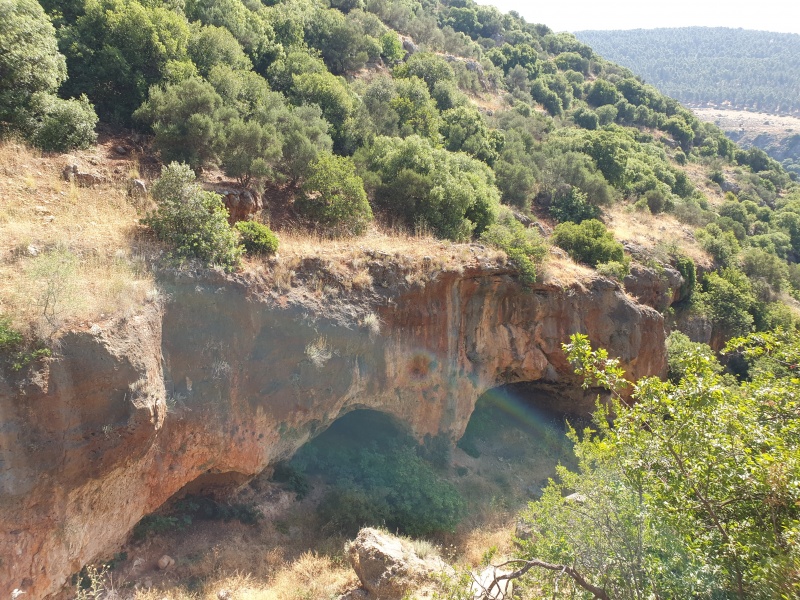 קובץ:2021-05-26T11 11 18.646411465578.jpg