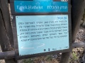 תמונה ממוזערת לגרסה מתאריך 07:54, 21 ביוני 2021