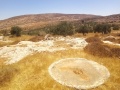 תמונה ממוזערת לגרסה מתאריך 15:40, 29 באוגוסט 2021