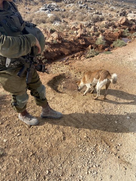 קובץ:2021-07-29T09 48 50.014643572316.jpg