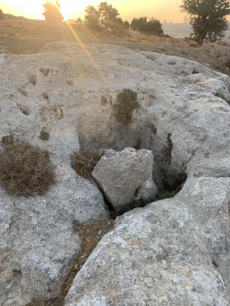 קובץ:2021-08-04T19 01 14.791787964354.jpg