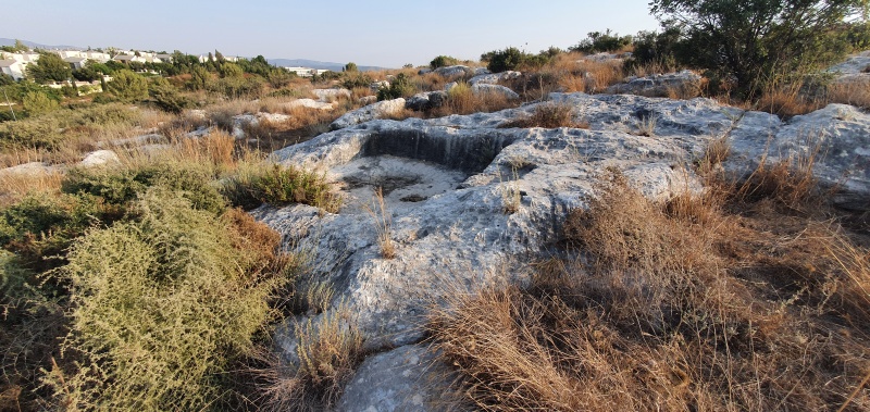 קובץ:2021-08-06T18 05 55.360708287865.jpg