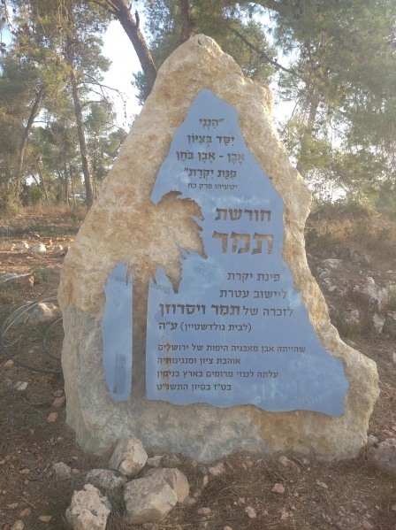 קובץ:2021-10-13T17 06 17.218231985171.jpg