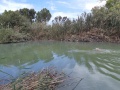 תמונה ממוזערת לגרסה מתאריך 09:04, 16 באוקטובר 2021