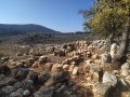 תמונה ממוזערת לגרסה מתאריך 15:04, 23 בנובמבר 2021