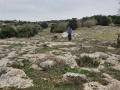 תמונה ממוזערת לגרסה מתאריך 08:14, 7 בדצמבר 2021