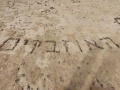 תמונה ממוזערת לגרסה מתאריך 09:27, 7 בדצמבר 2021