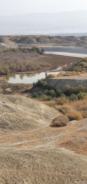 קובץ:2021-12-14T09 22 49.28212241201.jpg