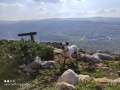 תמונה ממוזערת לגרסה מתאריך 10:26, 25 בדצמבר 2021