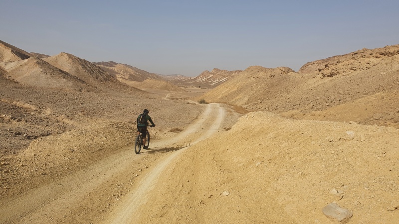 קובץ:20210311 082559.jpg