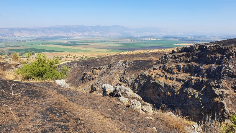 קובץ:20210528 093830.jpg