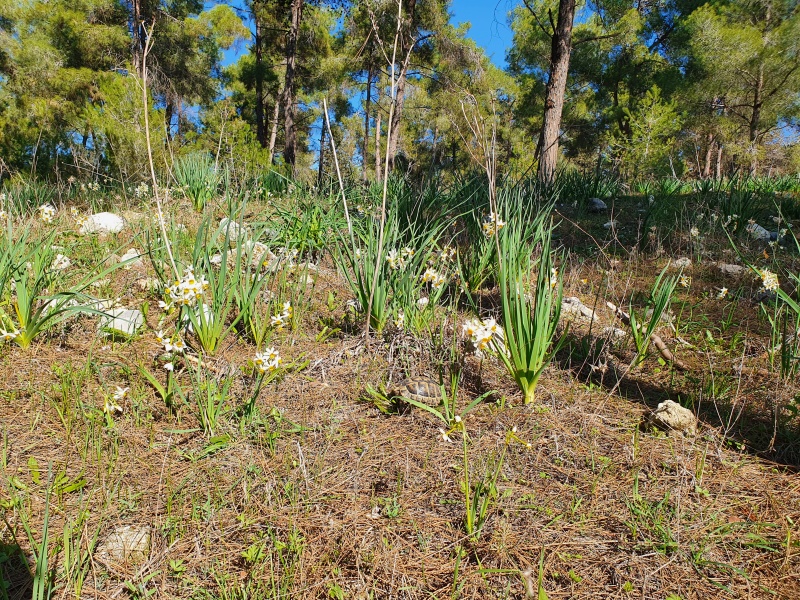 קובץ:2022-01-07T12 14 31.353138898692.jpg