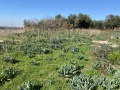 תמונה ממוזערת לגרסה מתאריך 10:35, 8 בינואר 2022