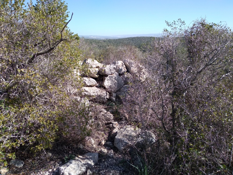 קובץ:2022-01-10T10 40 36.225622925990.jpg