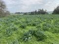 תמונה ממוזערת לגרסה מתאריך 11:00, 29 בינואר 2022