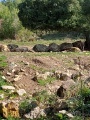 תמונה ממוזערת לגרסה מתאריך 14:12, 30 בינואר 2022