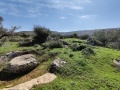 תמונה ממוזערת לגרסה מתאריך 10:28, 8 בפברואר 2022