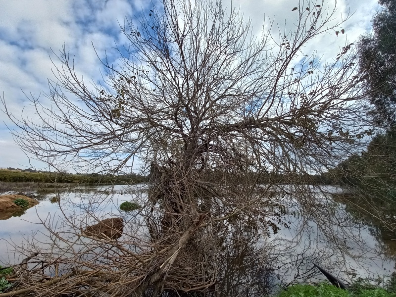 קובץ:2022-02-11T12 15 47.532940493881.jpg