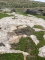 תמונה ממוזערת לגרסה מתאריך 10:39, 14 בפברואר 2022