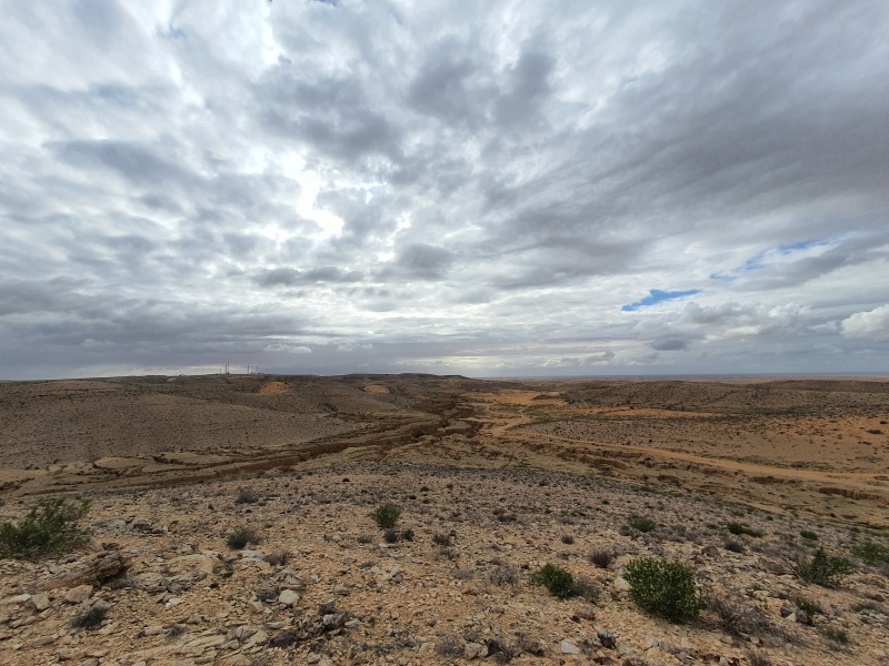 קובץ:2022-03-12T18 34 15.401328343022.jpg