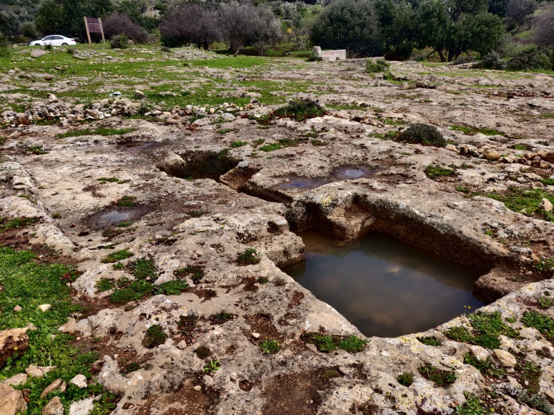 קובץ:2022-03-14T12 51 05.031056385039.jpg