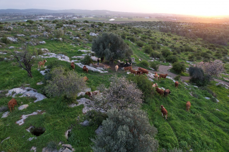 קובץ:2022-03-19T11 38 14.165364631585.jpg