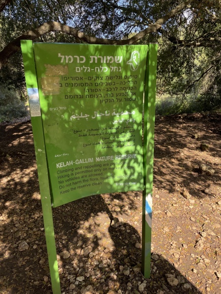 קובץ:2022-03-22T08 53 03.340749835125.jpg