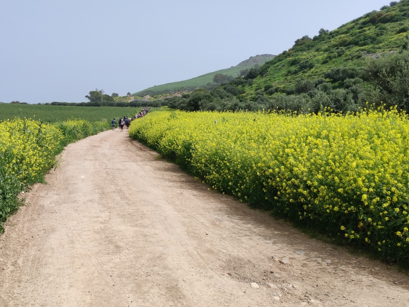 קובץ:2022-04-07T14 24 20.007531793596.jpg