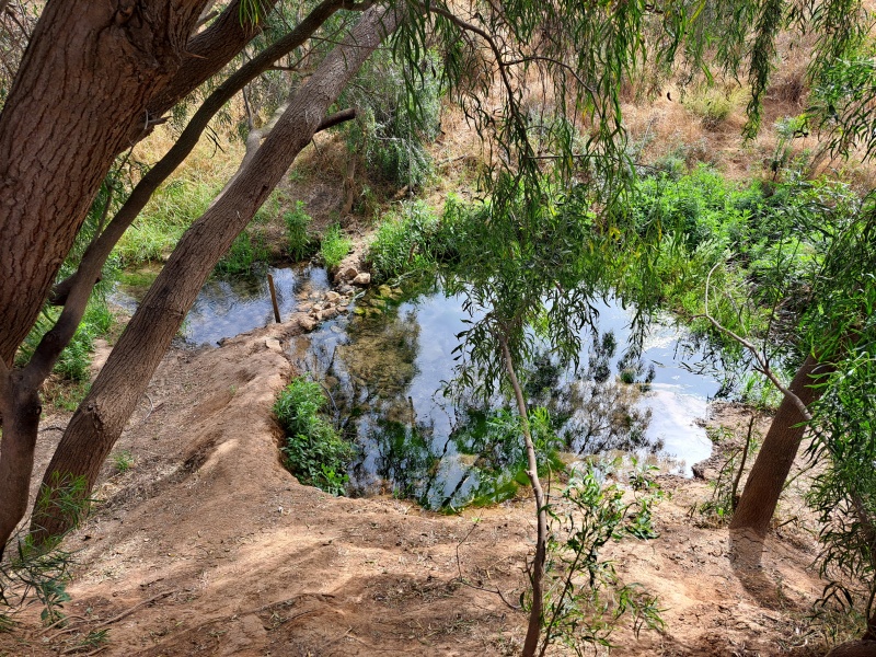 קובץ:2022-05-13T09 28 22.492870272514.jpg