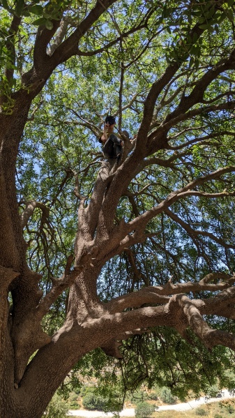 קובץ:2022-05-22T13 06 17.871695691881.jpg