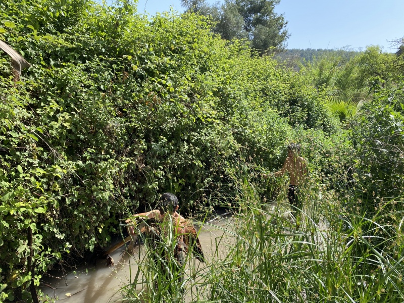 קובץ:2022-05-27T09 34 04.101944679083.jpg