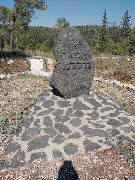 קובץ:2022-06-27T15 57 09.80297989825.jpg