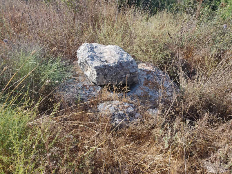 קובץ:2022-06-27T17 37 18.40436276589.jpg