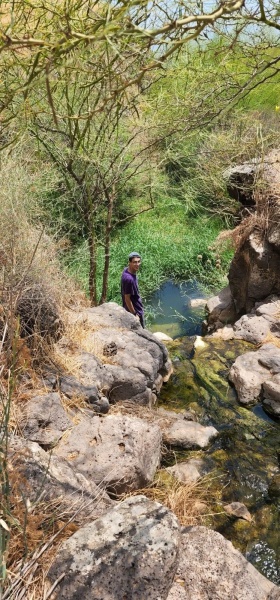 קובץ:2022-06-30T23 50 31.761421133390.jpg