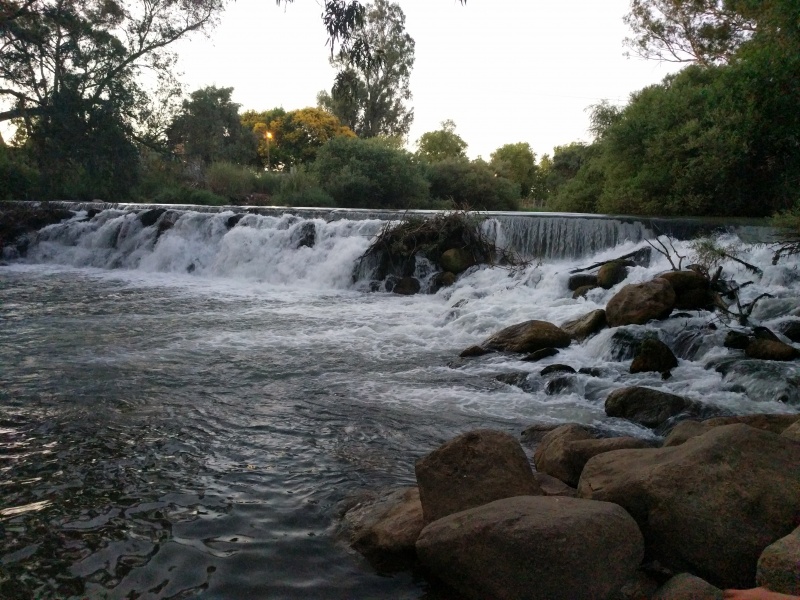 קובץ:2022-08-08T19 43 03.278005128786.jpg