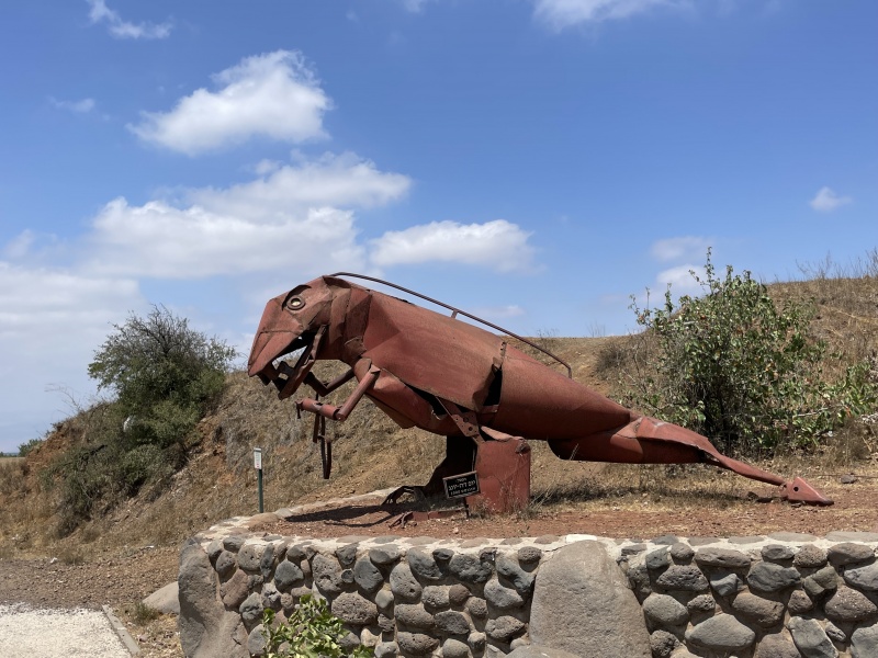 קובץ:2022-08-09T12 11 54.820031168204.jpg