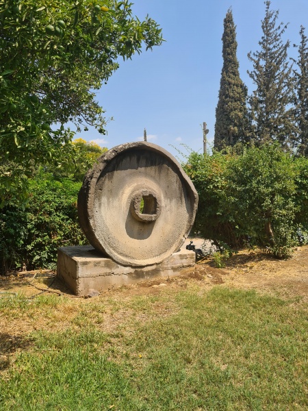 קובץ:2022-08-20T14 17 34.503551245621.jpg