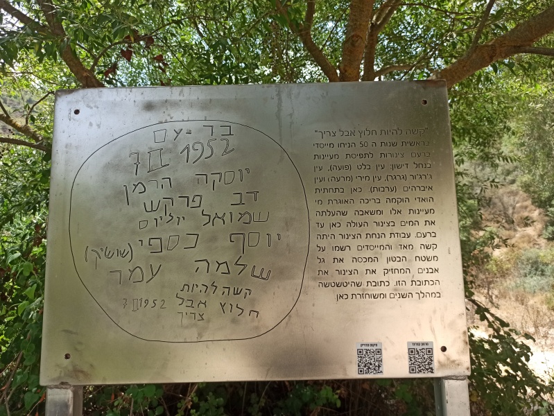 קובץ:2022-08-22T12 36 10.193270329780.jpg