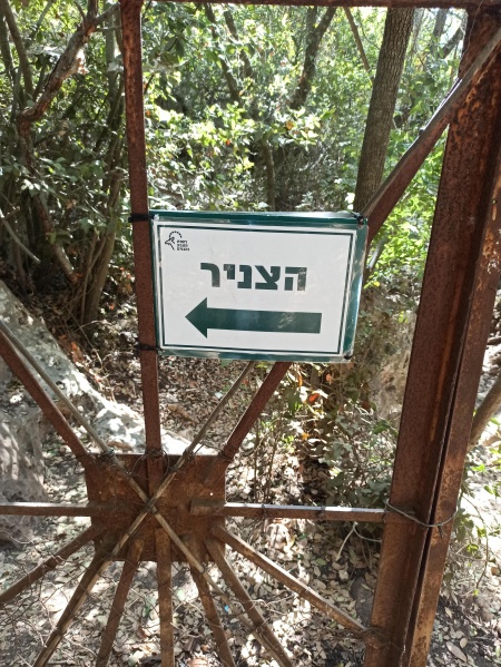 קובץ:2022-10-06T14 40 59.615578758238.jpg