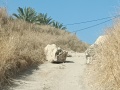 תמונה ממוזערת לגרסה מתאריך 10:45, 14 באוקטובר 2022