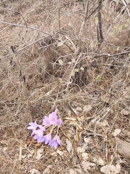 קובץ:2022-10-21T08 28 01.104367591361.jpg