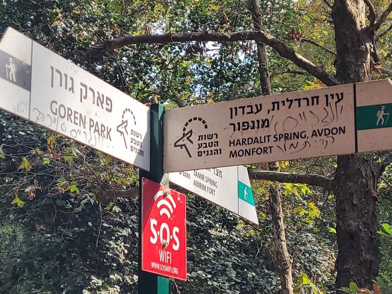 קובץ:2022-10-24T13 34 19.057663714720.jpg