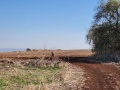 תמונה ממוזערת לגרסה מתאריך 08:36, 19 בנובמבר 2022