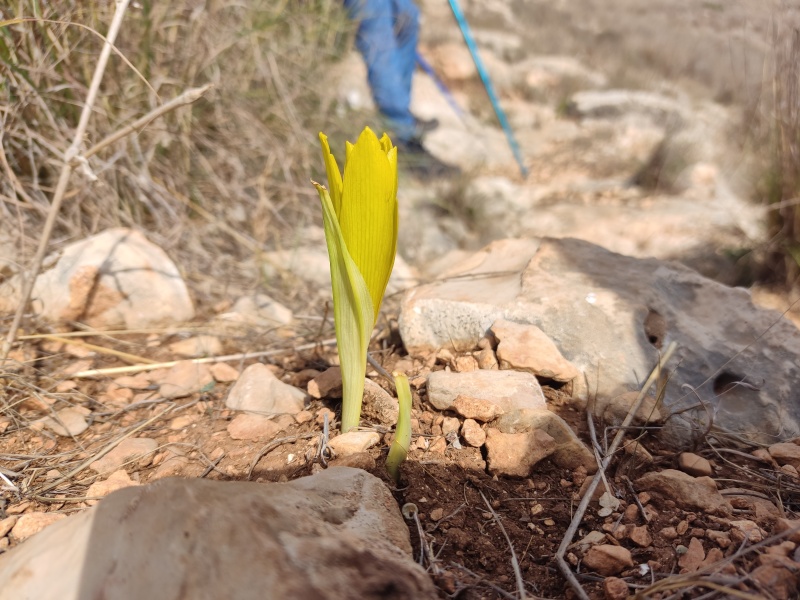 קובץ:2022-11-21T12 13 31.237179426628.jpg