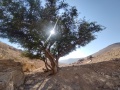 תמונה ממוזערת לגרסה מתאריך 14:43, 10 בדצמבר 2022