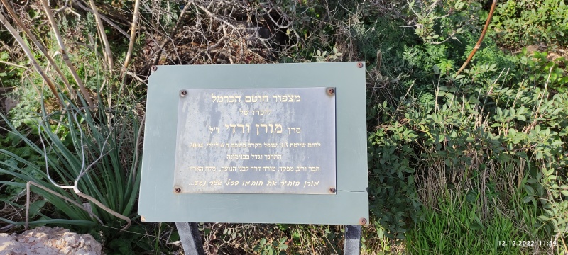 קובץ:2022-12-12T12 02 18.666610265114.jpg