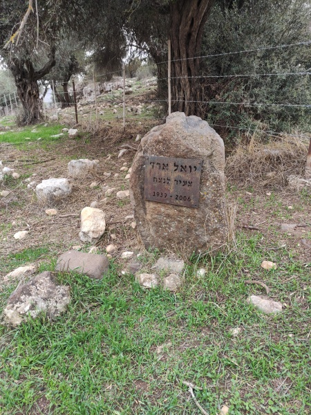 קובץ:2023-01-01T13 06 03.972654793419.jpg