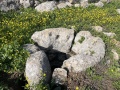 תמונה ממוזערת לגרסה מתאריך 10:52, 17 בינואר 2023