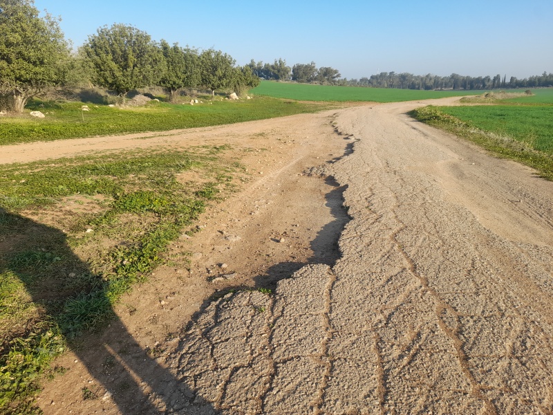 קובץ:2023-01-24T08 04 23.257659596787.jpg